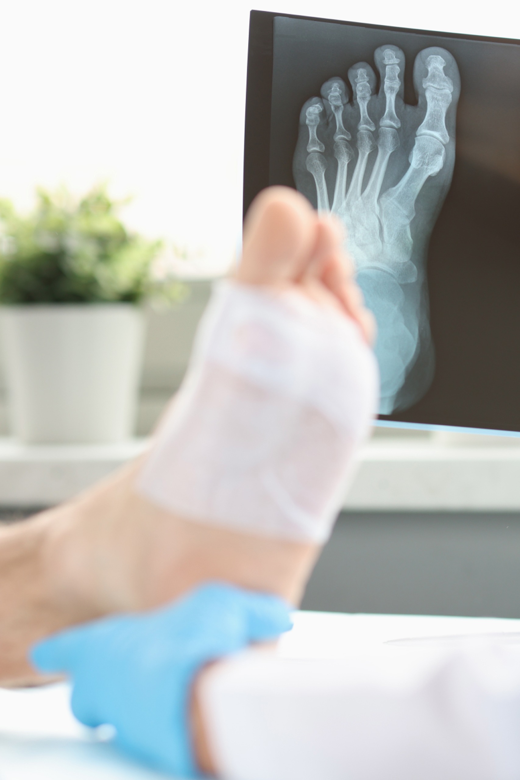 x-ray services in trenton michigan (3)